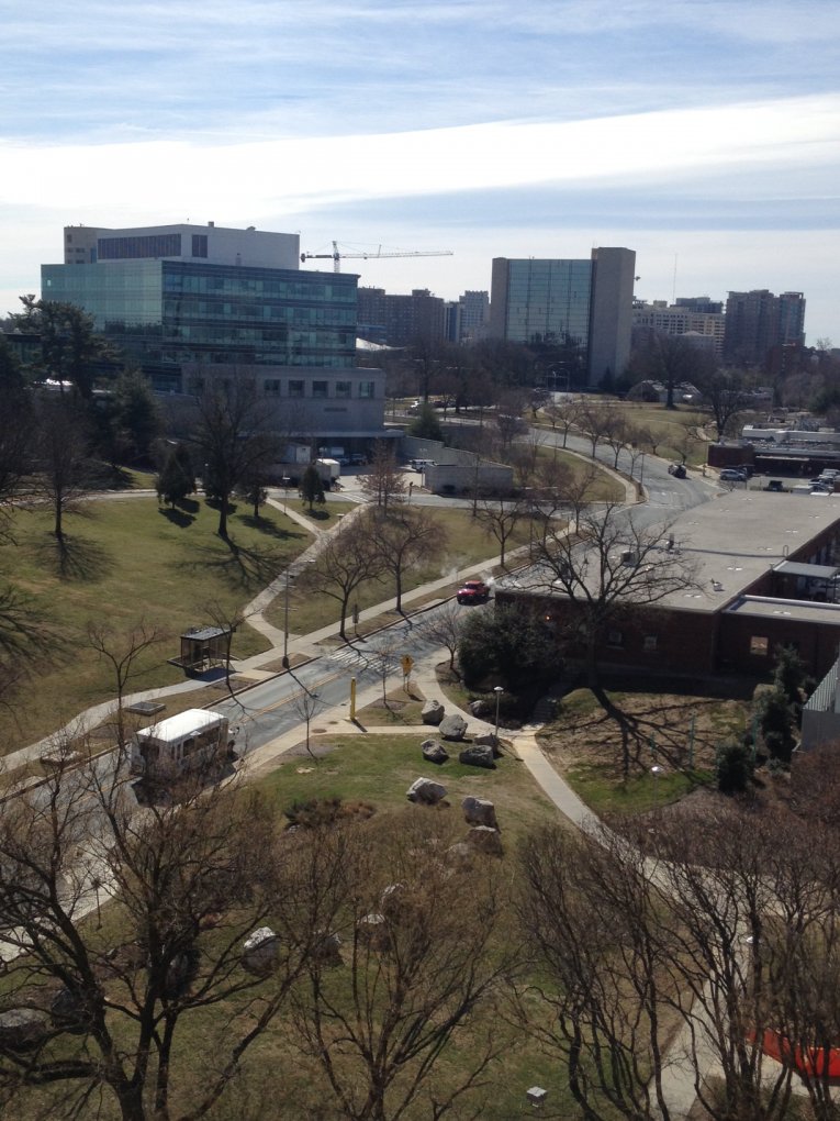 View from my lab at NIH