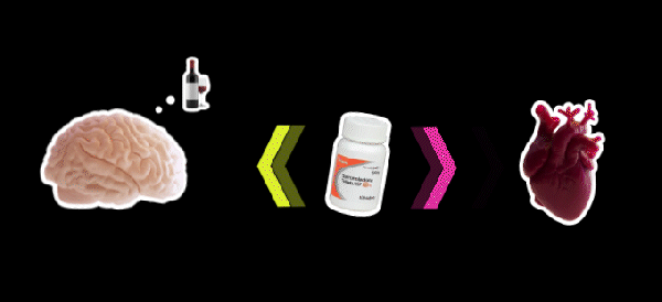 Animation of spironolactone acting on the heart and the brain.