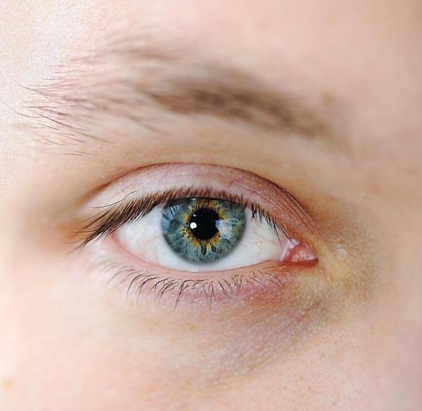 eye